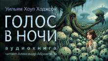 Аудиокнига Голос в ночи