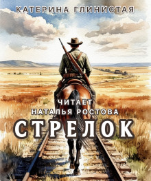 Аудиокнига Стрелок
