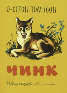 Аудиокнига Чинк