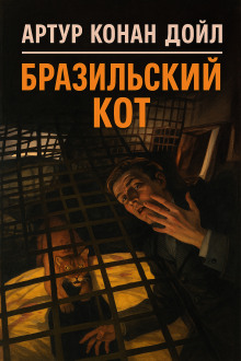 Аудиокнига Бразильский кот