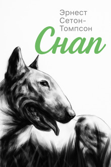 Аудиокнига Снап