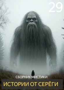 Аудиокнига Истории от Серёги №29