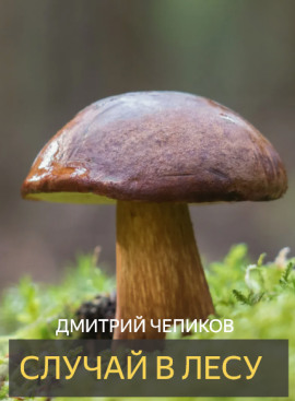 Аудиокнига Случай в лесу