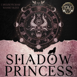 Аудиокнига Принцесса Теней