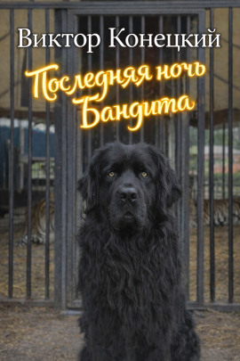 Аудиокнига Последняя ночь Бандита