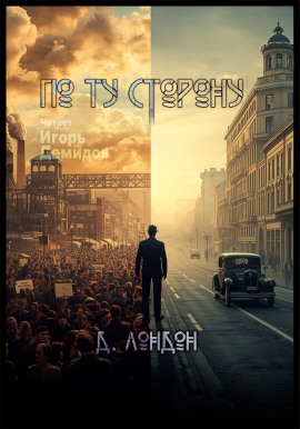 Аудиокнига По ту сторону