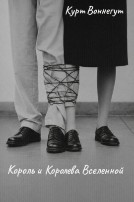 Аудиокнига Король и королева Вселенной