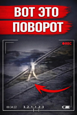 Аудиокнига Убийца в парике