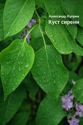 Аудиокнига Куст сирени