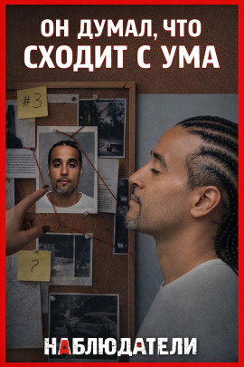 Аудиокнига Двойник за решёткой