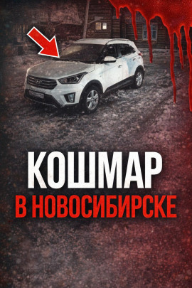 Аудиокнига Поехала на сделку и исчезла