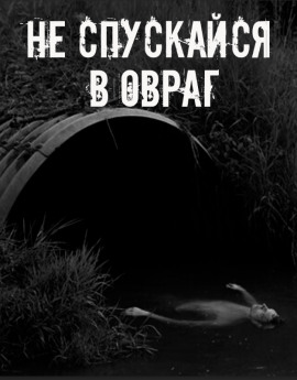 Аудиокнига Не спускайся в овраг