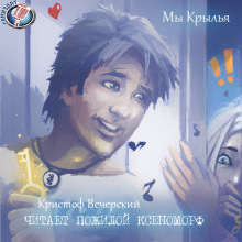 Слушать онлайн аудиокниги Мы Крылья Аудиокнига Мы Крылья