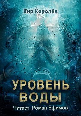 Аудиокнига Уровень воды