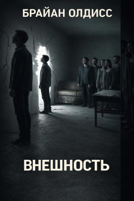 Аудиокнига Внешность