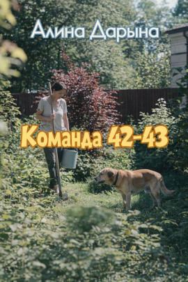 Аудиокнига Команда 42-43