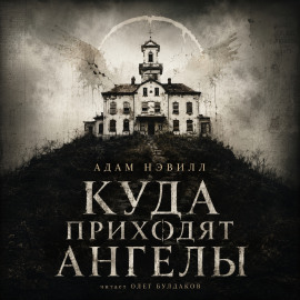 Аудиокнига Куда приходят ангелы