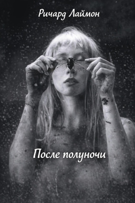 Аудиокнига После полуночи