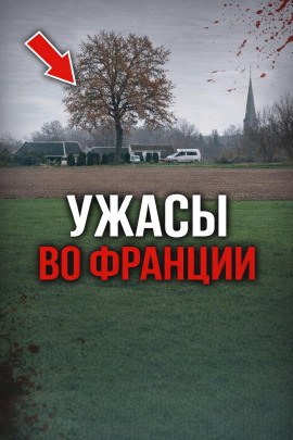 Аудиокнига Идеальное преступление