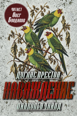 Аудиокнига Наваждение