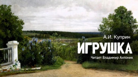 Аудиокнига Игрушка