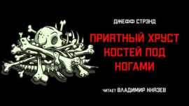 Аудиокнига Приятный хруст костей под ногами