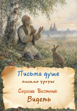 Аудиокнига Видеть
