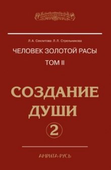 Аудиокнига Создание души, часть II