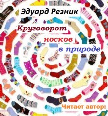 Аудиокнига Круговорот носков в природе