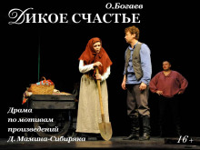 Аудиокнига Дикое счастье
