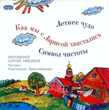Аудиокнига Детские истории сельского прихода