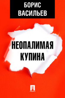 Слушать онлайн аудиокниги Неопалимая Купина Аудиокнига Неопалимая Купина